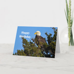 Natuur Bald Eagle Wildlife Foto van Birthday Kaart