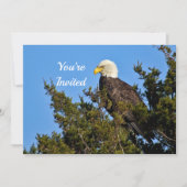 Natuur Bald Eagle Wildlife Foto Verjaardag Kaart (Voorkant)