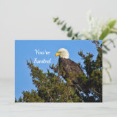 Natuur Bald Eagle Wildlife Foto Verjaardag Kaart (Staand voorkant)