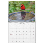 Natuur Beauty II Kalender (Mar 2027)