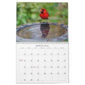 Natuur Beauty II Kalender (Mar 2026)