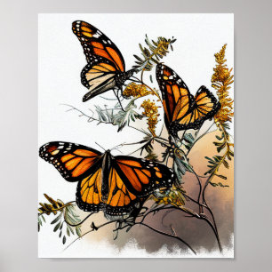 Natuur Beauty Monarch Butterflies Poster