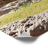 Natuur Bengalen Witte Tijger Fotografie Poster (Hoek)