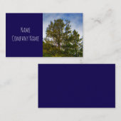 natuur bergpijnbomen op donkerblauw gebruik visitekaartje (Voorkant / Achterkant)