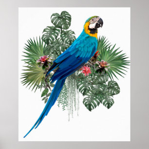 Natuur Big Bird Poster