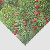 natuur, bijkantoor, plant, natuurlijk, seizoen, ro tissuepapier (Detail)