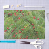 natuur, bijkantoor, plant, natuurlijk, seizoen, ro tissuepapier (Craft)