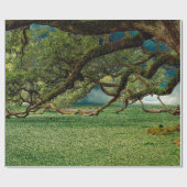 Natuur bladerblad cadeaupapier (Vlak)