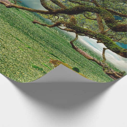 Natuur bladerblad cadeaupapier (Hoek)