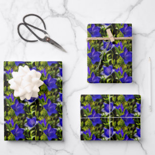 Natuur Blauwe bloemen Inpakpapier Vel