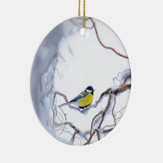 Natuur Blauwe Tit Bird Perched Branches Snow Frost Keramisch Ornament (Rechts)