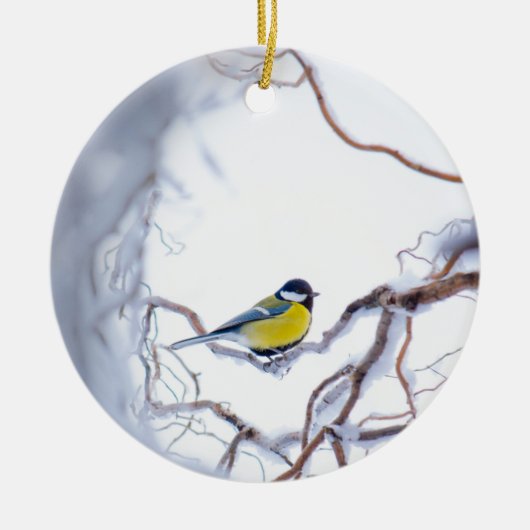 Natuur Blauwe Tit Bird Perched Branches Snow Frost Keramisch Ornament (Voorkant)