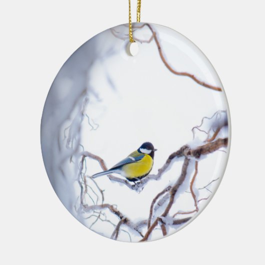 Natuur Blauwe Tit Bird Perched Branches Snow Frost Keramisch Ornament (Links)
