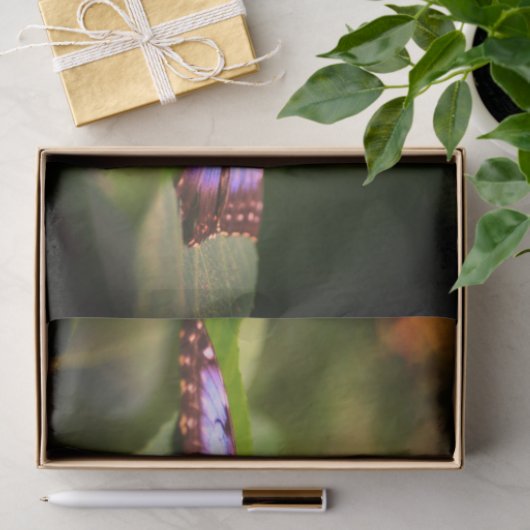 Natuur Blauwe vlinder Sluiten Ontkoppeling Tissuepapier (Geschenk)