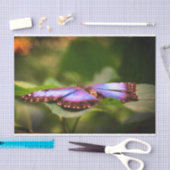 Natuur Blauwe vlinder Sluiten Ontkoppeling Tissuepapier (Craft)