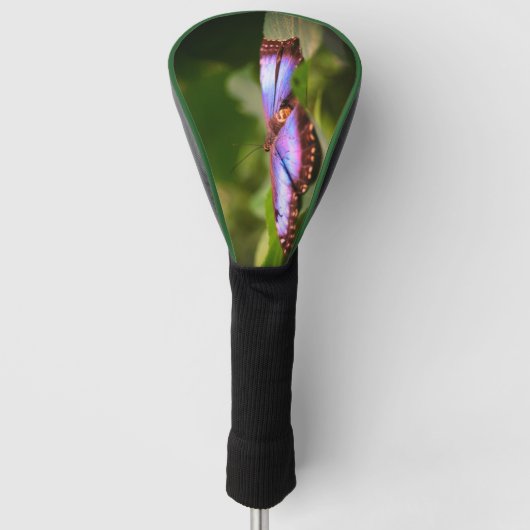 Natuur Blauwe vlinder Sluiten Tint Golfheadcover (Voorkant)