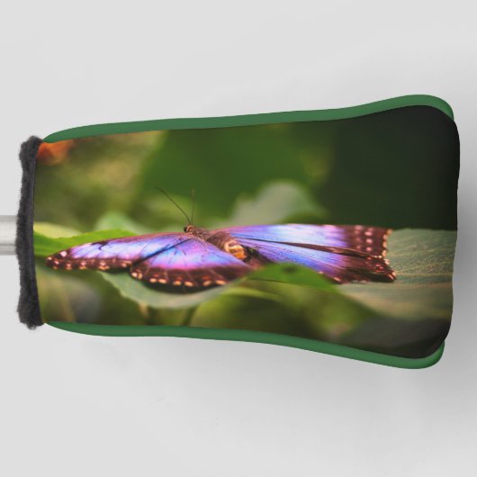 Natuur Blauwe vlinder Sluiten Tint Golfheadcover (Voorkant)