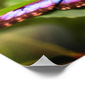 Natuur Blauwe vlinder Sluiten Tint Poster (Hoek)