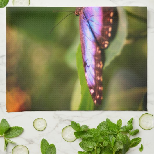 Natuur Blauwe vlinder Sluiten Tint Theedoek (Gevouwen)