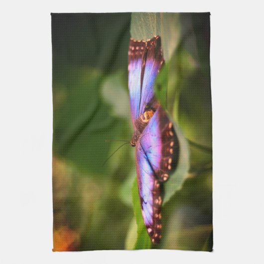 Natuur Blauwe vlinder Sluiten Tint Theedoek (Verticaal)