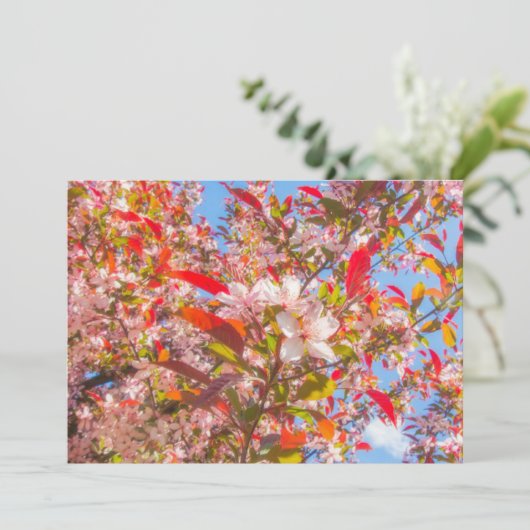 Natuur bloeit bloemen licht zonlicht kaart (Staand voorkant)