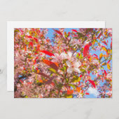 Natuur bloeit bloemen licht zonlicht kaart (Voorkant / Achterkant)