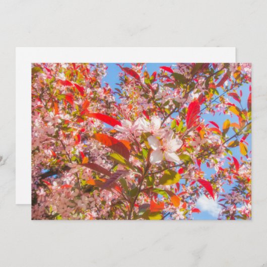 Natuur bloeit bloemen licht zonlicht kaart (Voorkant / Achterkant)