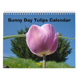 Natuur Bloem Kalenders Zonnige Dag Tulpen Bloemen Kalender