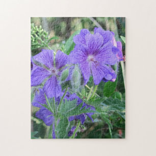 natuur, bloem, zomer, paars, bloesem, bloem- legpuzzel
