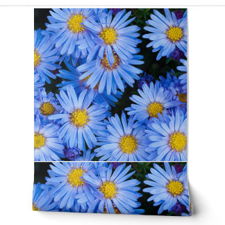 Natuur Bloemen Bloemen Bloemen Bloemen Petals Bota Behang