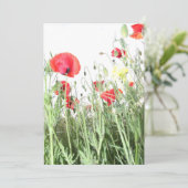 Natuur bloemen van papavervelden kaart (Staand voorkant)