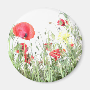 Natuur bloemen van papavervelden magneet
