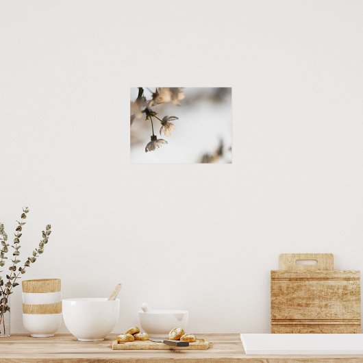 Natuur BLOeming White Cherry Tree Poster (Keuken)
