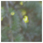Natuur Boeddha Stof (Close Up)