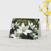 Natuur Boeket | Gefeliciteerd! Kaart (Gele Bloem)