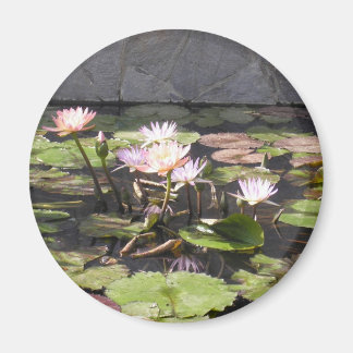 Natuur Boeket Serie: Zomermagneet Magneet