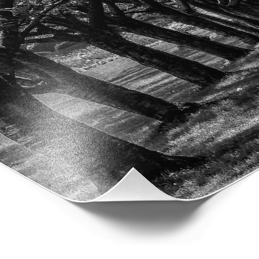 Natuur Bomen Foto Afdruk (Hoek)