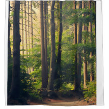 Natuur, bomen in het park