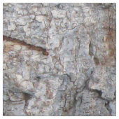 Natuur Boom Bark Foto Stof (Close Up)