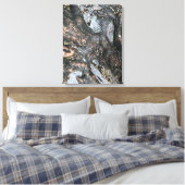 Natuur Boom Roots Rainy Day Puddle Foto Art Canvas Afdruk (Insitu (Slaapkamer))