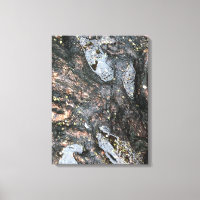 Natuur Boom Roots Rainy Day Puddle Foto Art