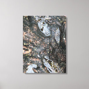 Natuur Boom Roots Rainy Day Puddle Foto Art Canvas Afdruk