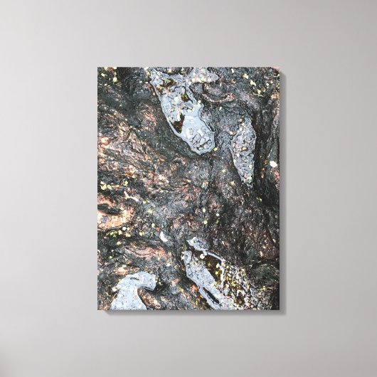 Natuur Boom Roots Rainy Day Puddle Foto Art Canvas Afdruk (Voorkant)