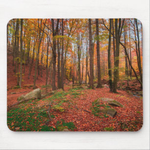 natuur, bos, bomen muismat