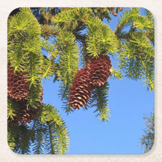 Natuur bos foto onderzetter met tak