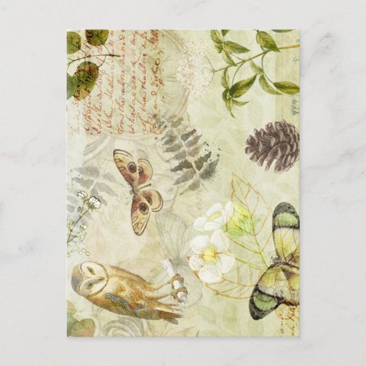 Natuur bos Wildlife Owl Butterfly Briefkaart (Voorkant)