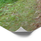 Natuur Bossen Forest Path Photography Poster Art M (Hoek)