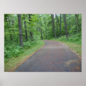 Natuur Bossen Forest Path Photography Poster Art M (Voorkant)