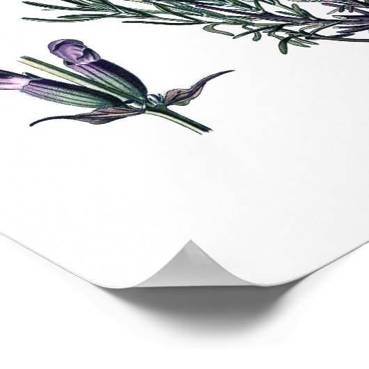 Natuur, botanische afdruk, bloemstuk van True Lave Poster (Hoek)