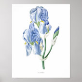 Natuur, botanische afdruk, poster voor bloemkunst  (Voorkant)